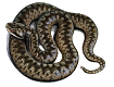 zalktis